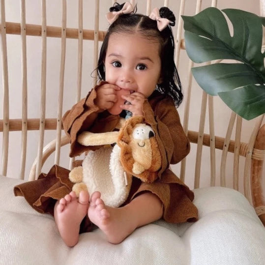 Itzy Friends with Silicone Teether Toy