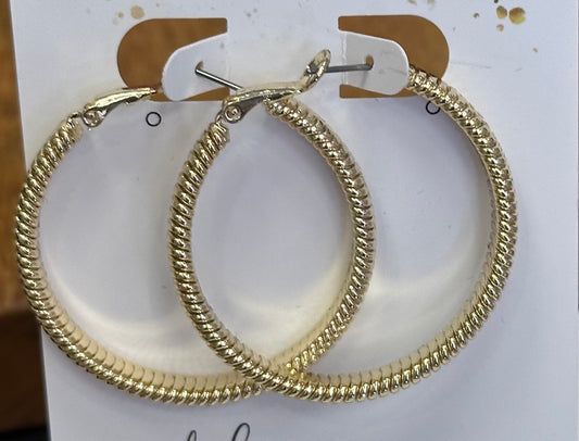 D+G Coil Hoop Earrings